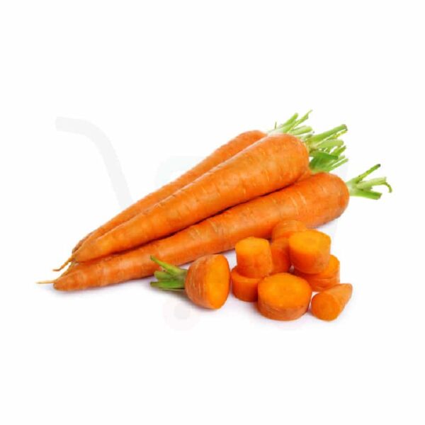 Fresh Carrot Orange