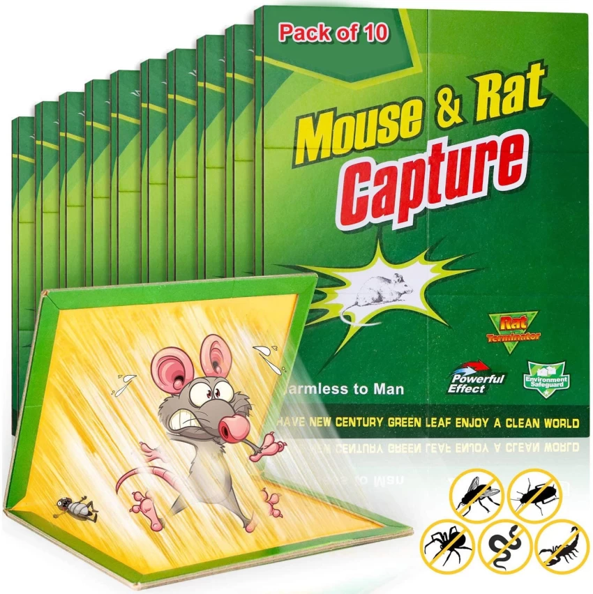 Mouse & Rat - Glue Traps