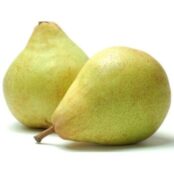 Fresh Nashpati Pear Indian